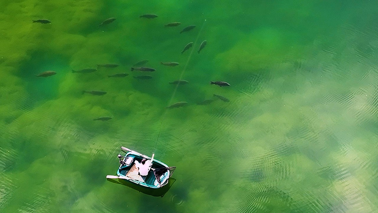 Un-fished for 30 Years...