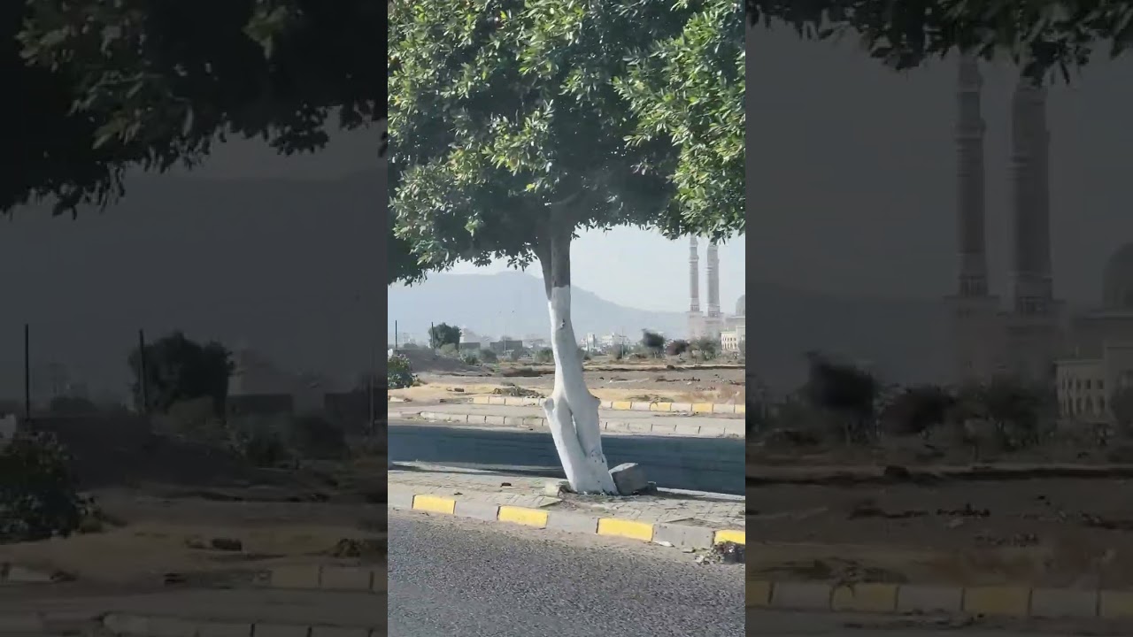 قصيدة مغترب #سليمان_العمري