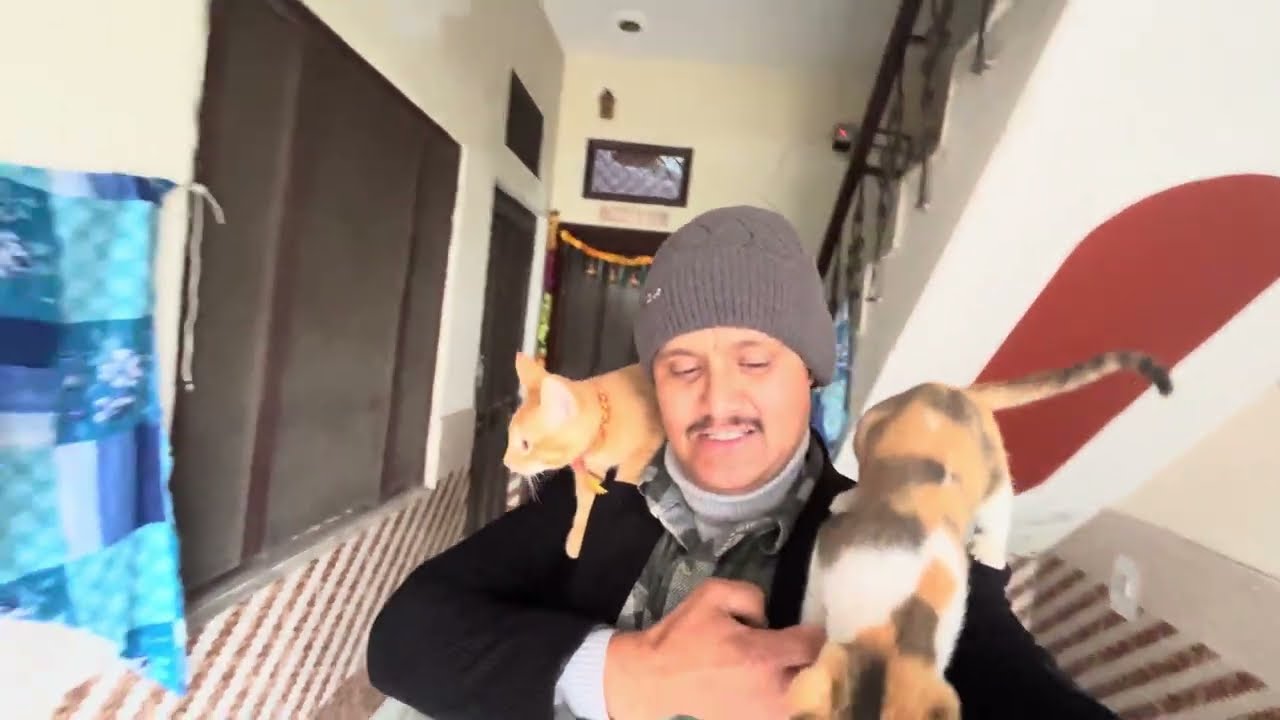 Sadiyaka biralu haru 🐈🐈‍⬛🐱