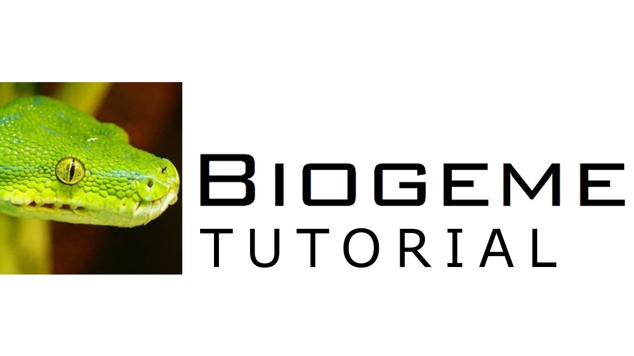 Biogeme Tutorial