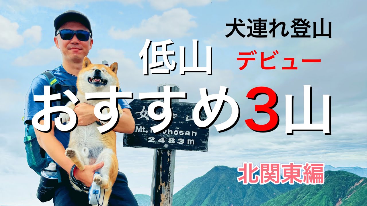 【はじめてのワンコ登山】犬連れ登山　初心者必見！？冬のおすすめ低山３選　北関東編