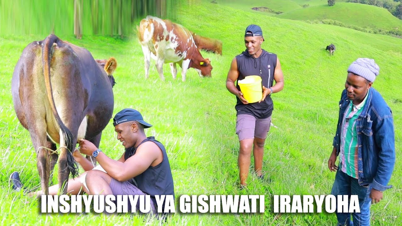 TWASUYE INKA ZA GISHWATI🐄🐄🐄