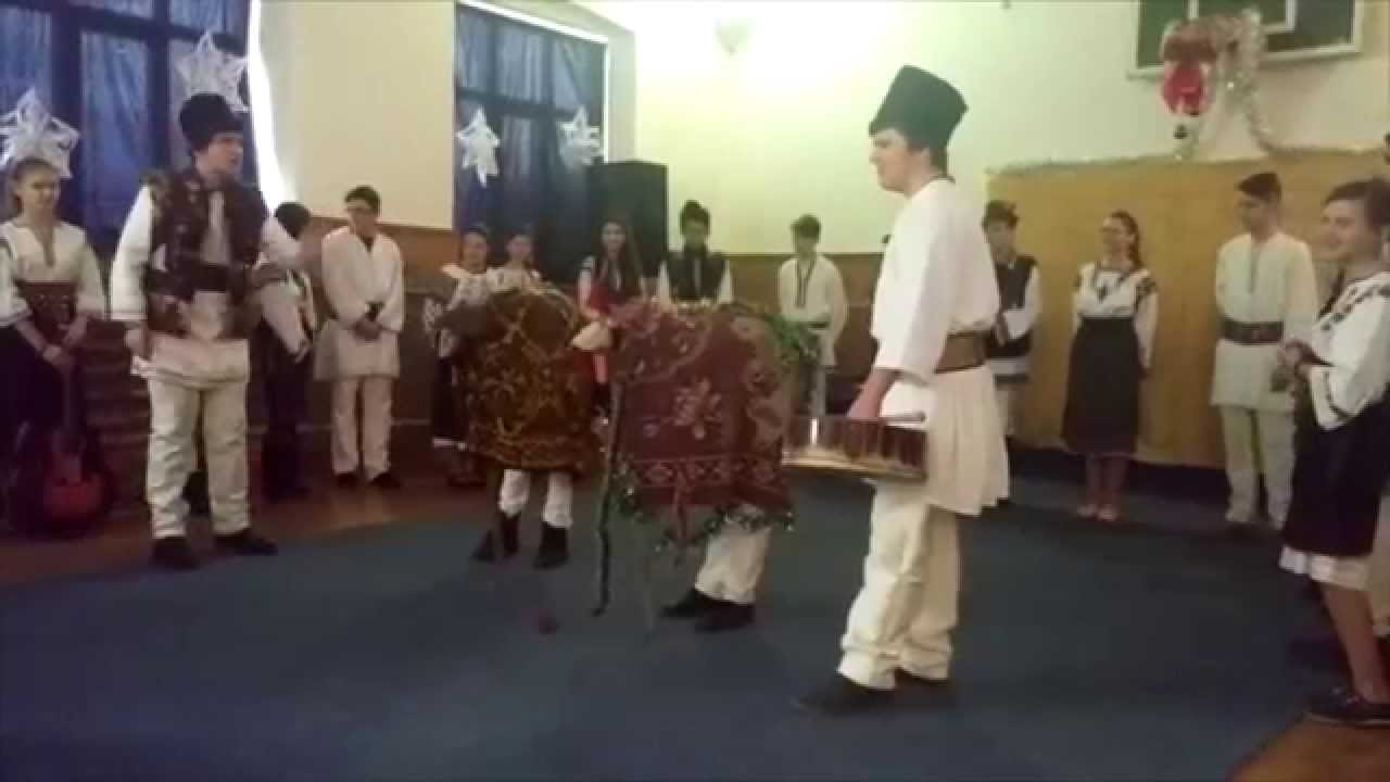 O experienţă care merită &icirc;mpărtăşită (5)
