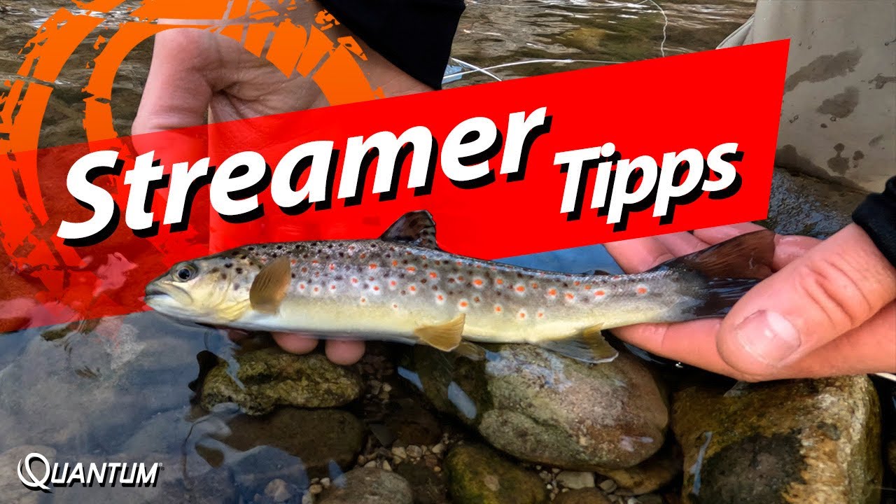 Fliegenfischen auf Forellen mit Streamer - Wertvolle Tipps vom Profi!