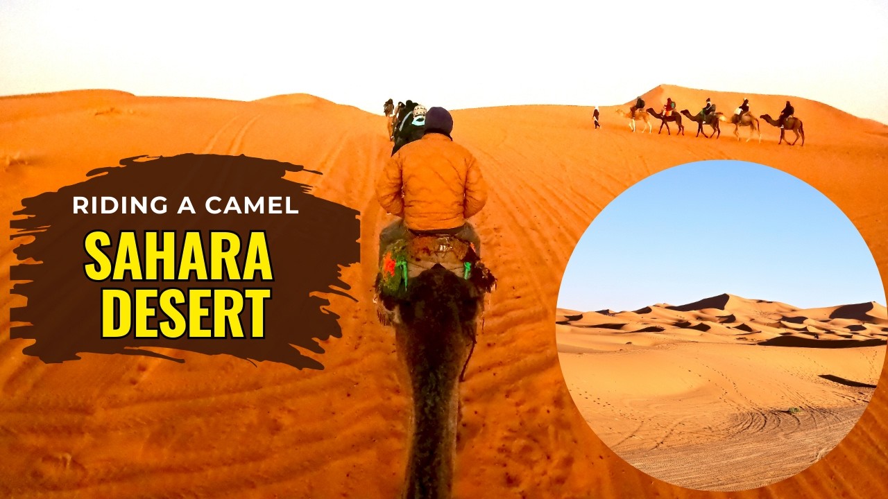 Sahara Desert Camel Trek &ndash; Erg Chebbi Dunes & Berber Camp Adventure! 🐪🌅