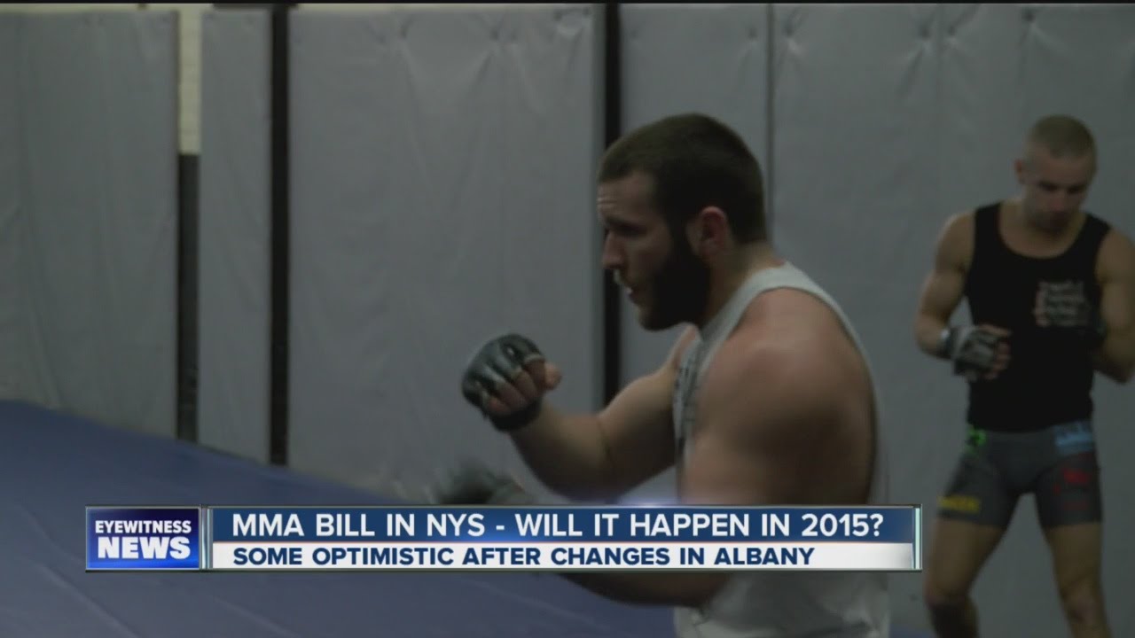 Changes in Albany could lead to legalization of MMA
