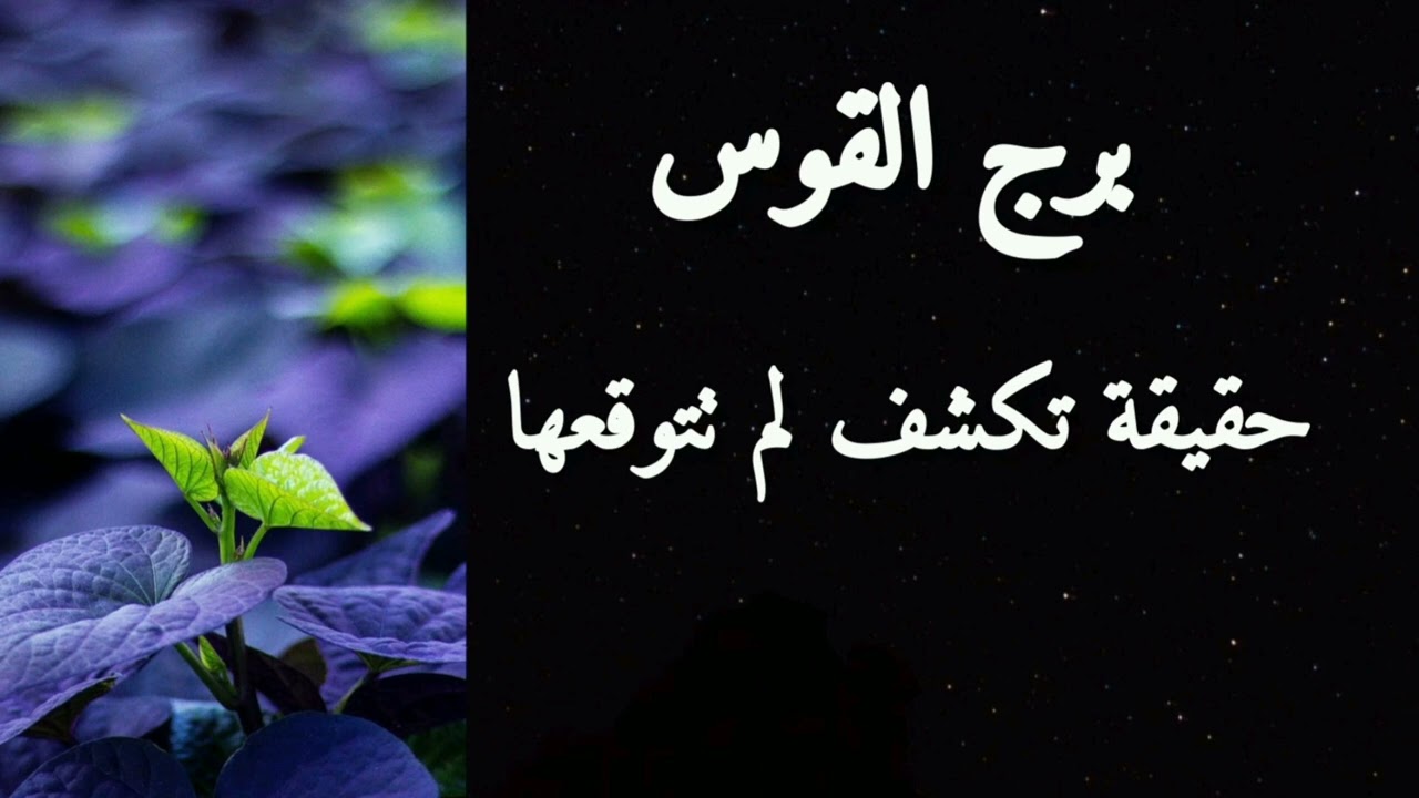 برج القوس*تحصد الاموال بعد تعب/الاسبوع الاول يوليو تموز 2024