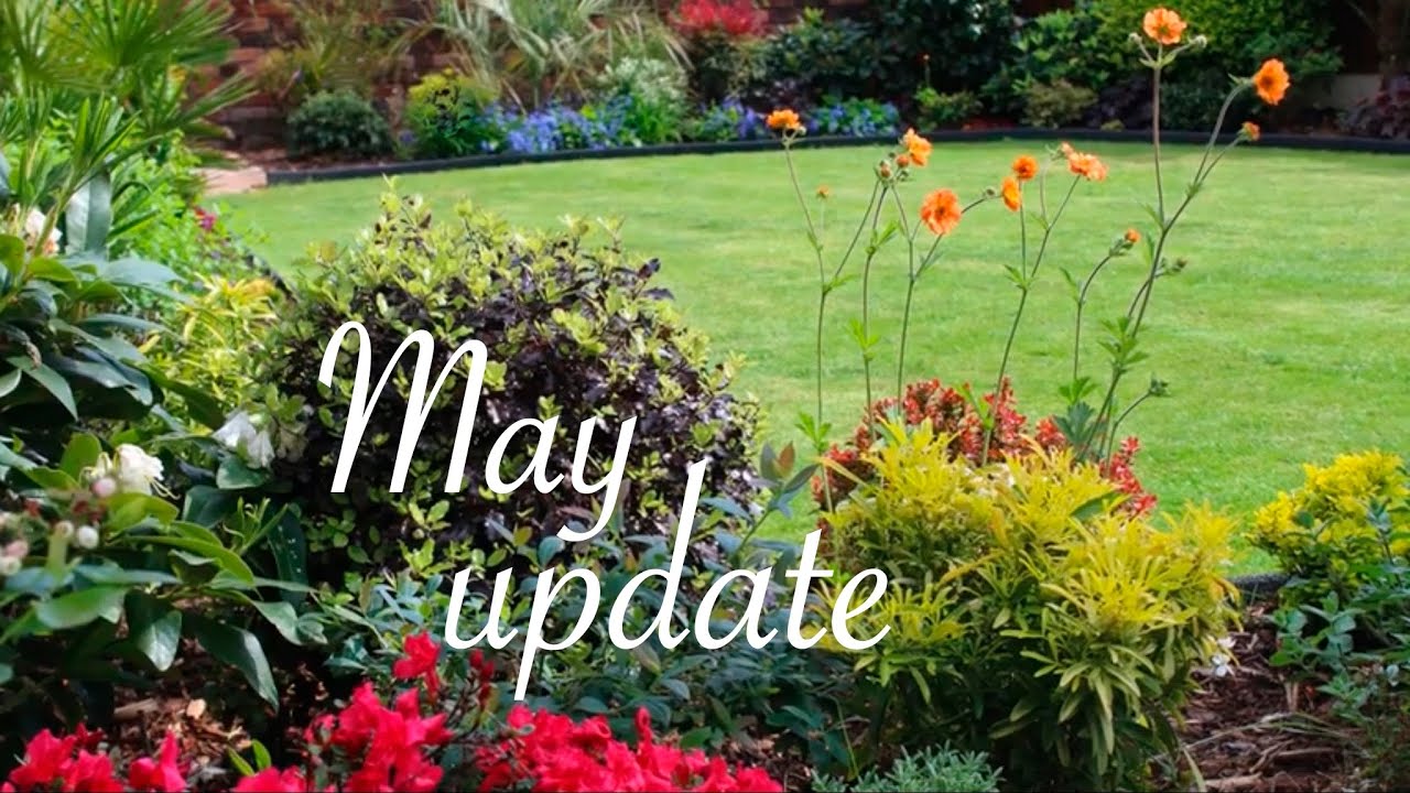 Spring garden tour UK May update in My Walled Garden 2022 flowers and shrubs
