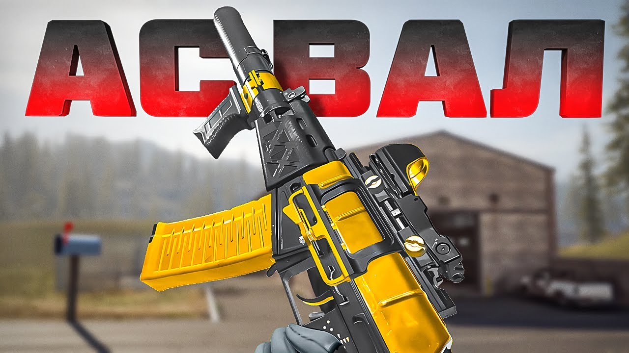 АС ВАЛ ЛУЧШАЯ ЗАМЕНА ПП В WARZONE