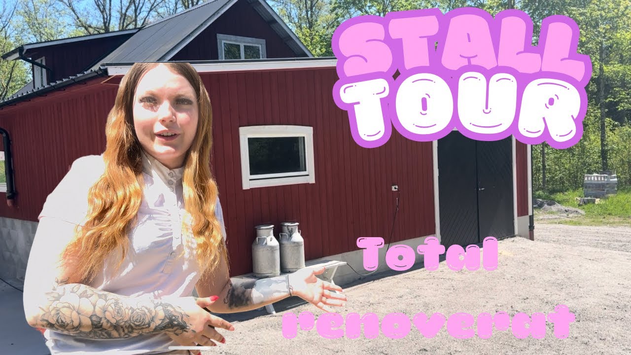 STALL TOUR!🤩