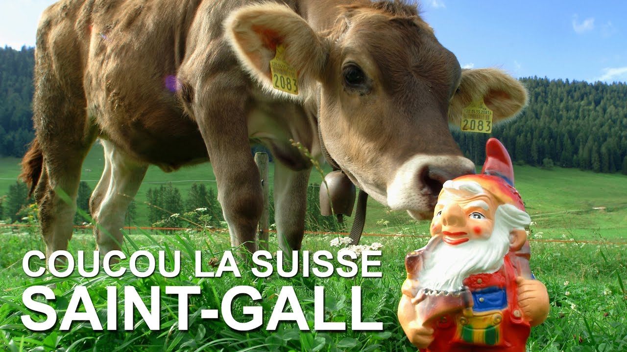 Coucou la Suisse : Saint-Gall, le Liechtenstein, Rorschach et Rapperswil
