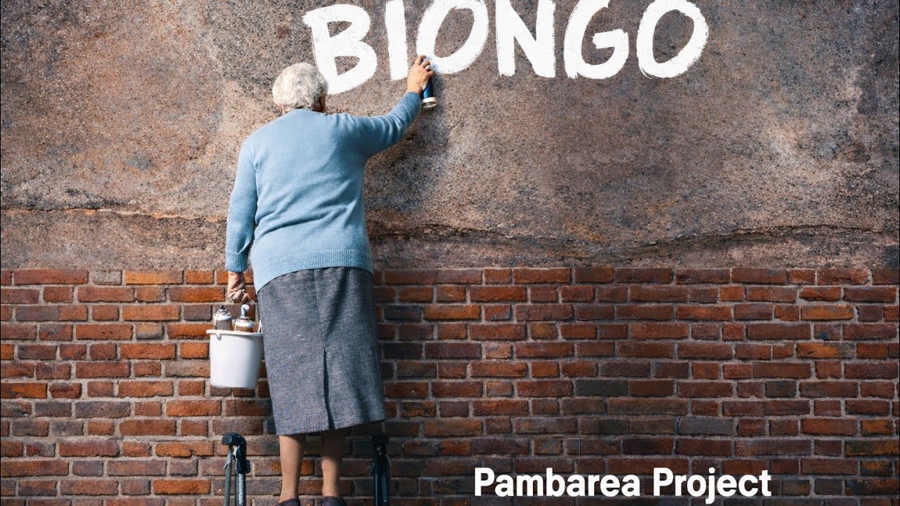 Biongo - Pambarea Project 