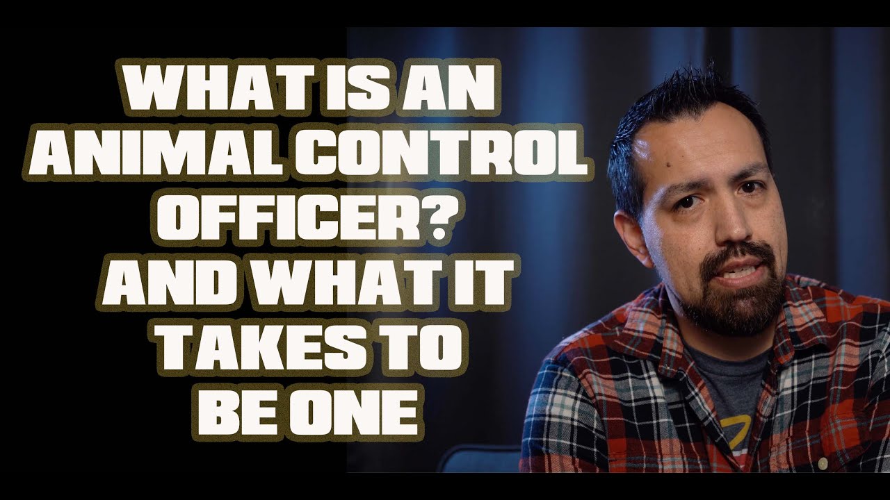 What Is An Animal Control Officer?