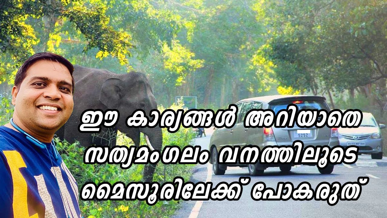 മൈസൂരിലേക്കുള്ള എളുപ്പ വഴി സത്യമംഗലം വനത്തിലൂടെ| The Easiest Way To Mysore Via Sathyamangalam Forest