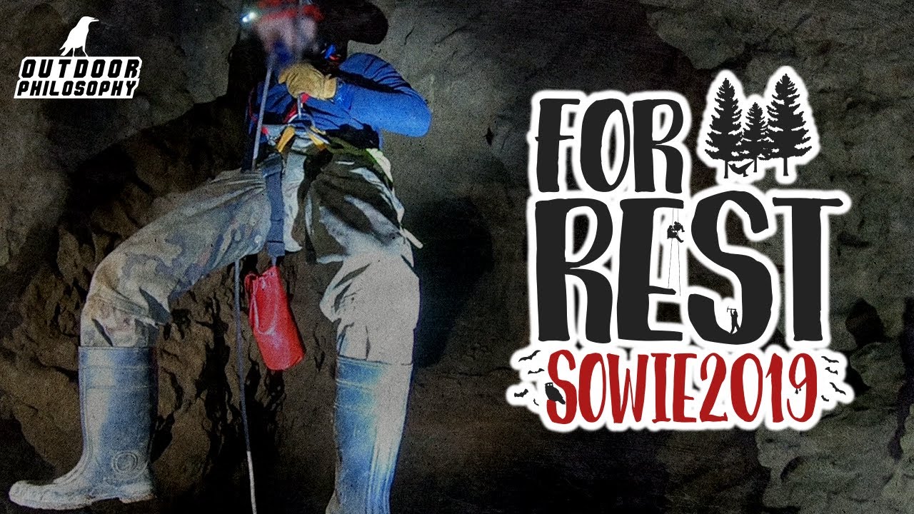 SOWIE 2019 [FOR.REST]
