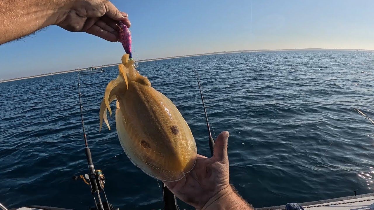 IMPOSS&Iacute;VEL N&Atilde;O FICAR VICIADO NA PESCA AO CHOCO!  CONCORDAM???