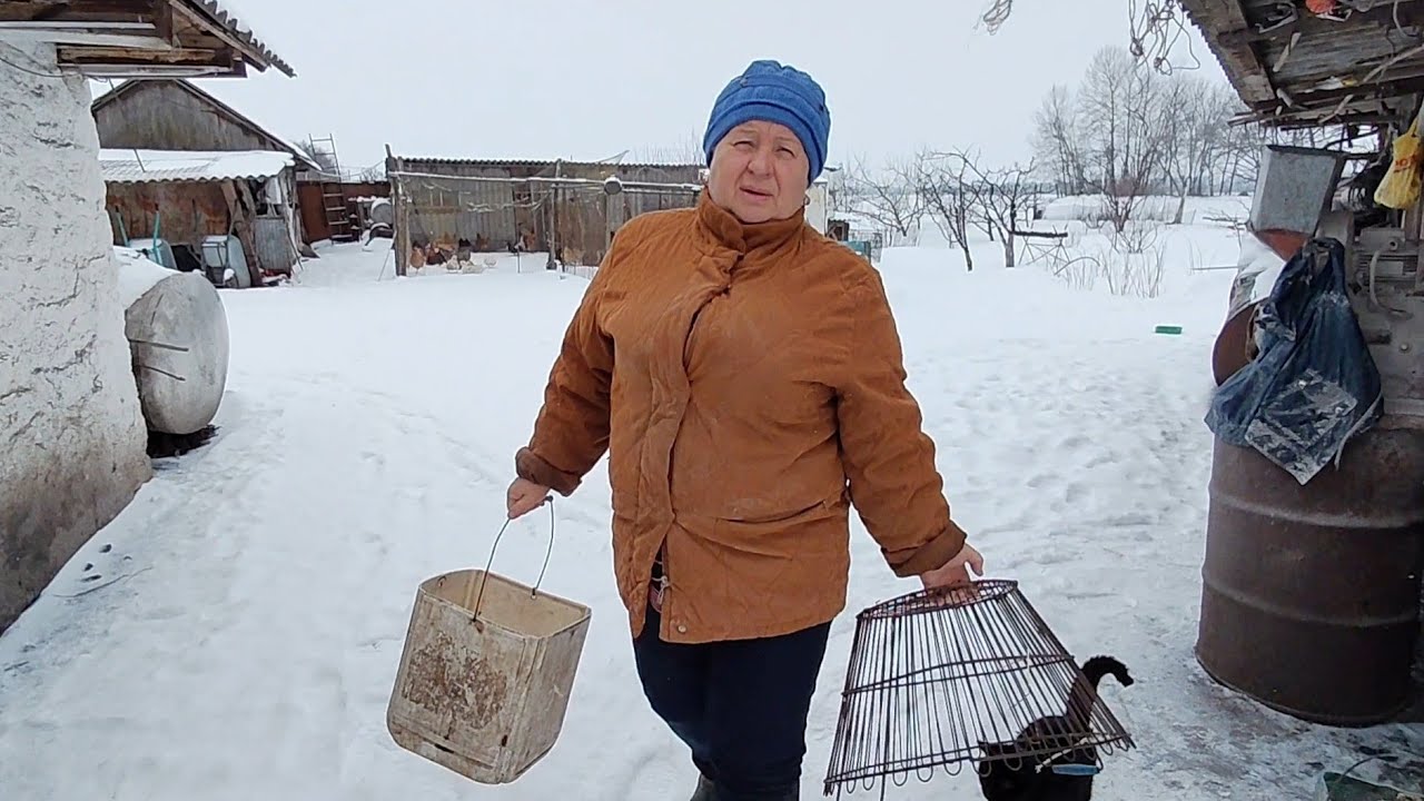 День із сільського життя/Знову іде сніг