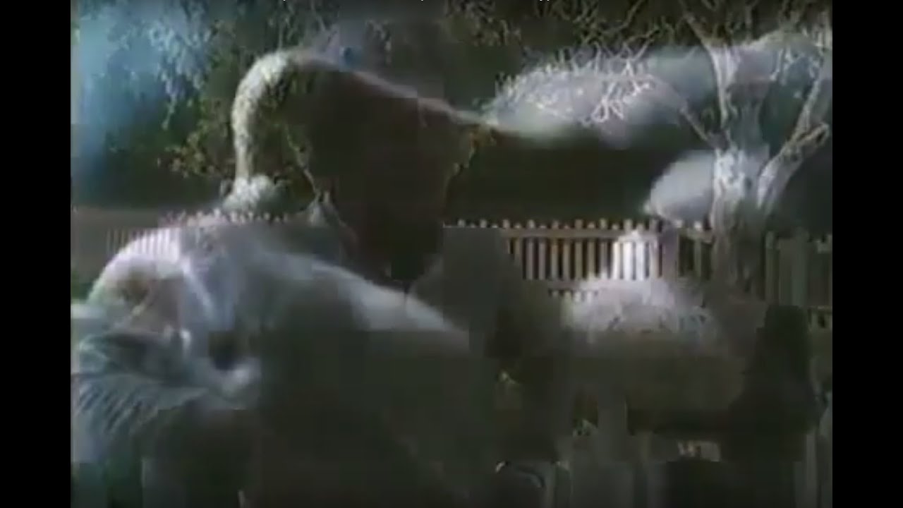AUSTRALIA'S MOST HAUNTED - Paranormal Supernatural Ghosts (full documentary)