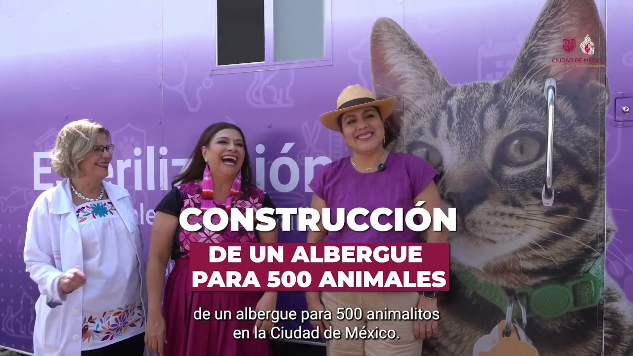 Ciudad de México 10 acciones para ser la Capital del Bienestar Animal 