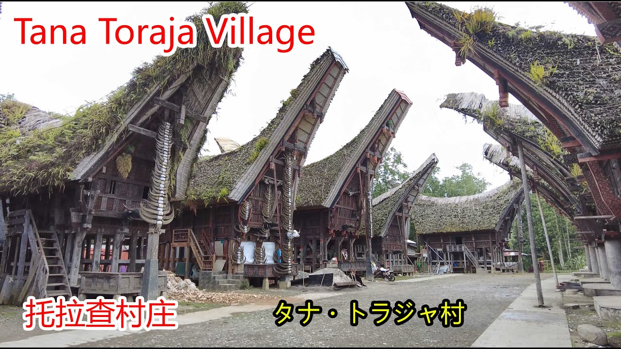 Exploring Tana Toraja Village: Traditional Houses and Unique Culture