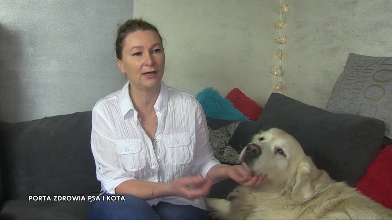 Skąd wziął się pomysł na stosowanie diety naturalnej?