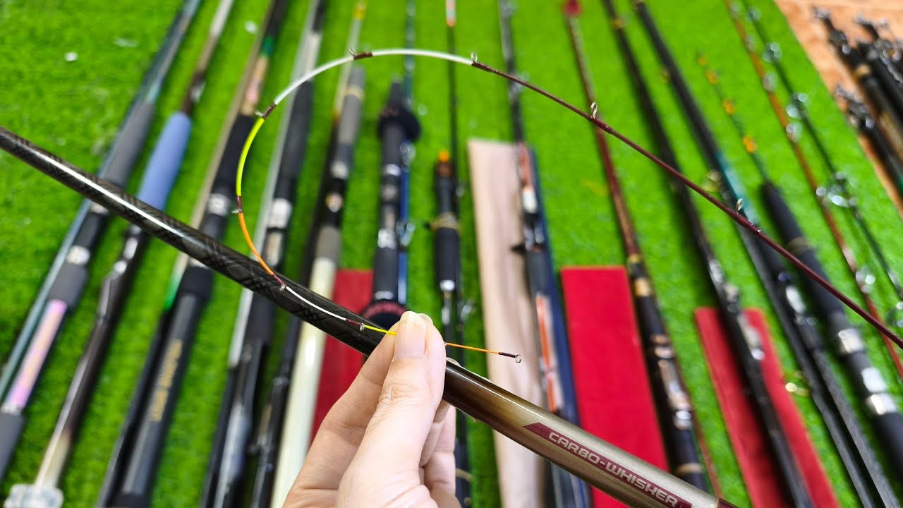 Video 1123: Ikada Daiwa , Cần Jig Shimano, Dây Trong Cacbon, Cần lure Nhật 