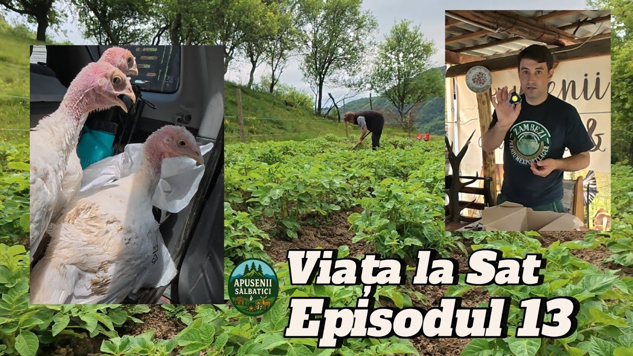 Gospodărie Autentică din Apuseni – Gradina ,Curcani, Natură și Delicii | Ep.13