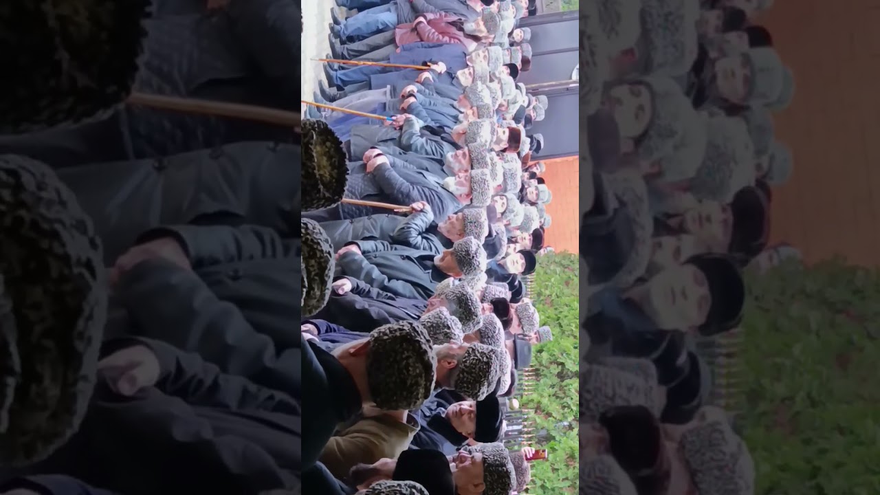 Тешал#Мусиева #Лелайн #даь дол # дал гешт долд хьог1