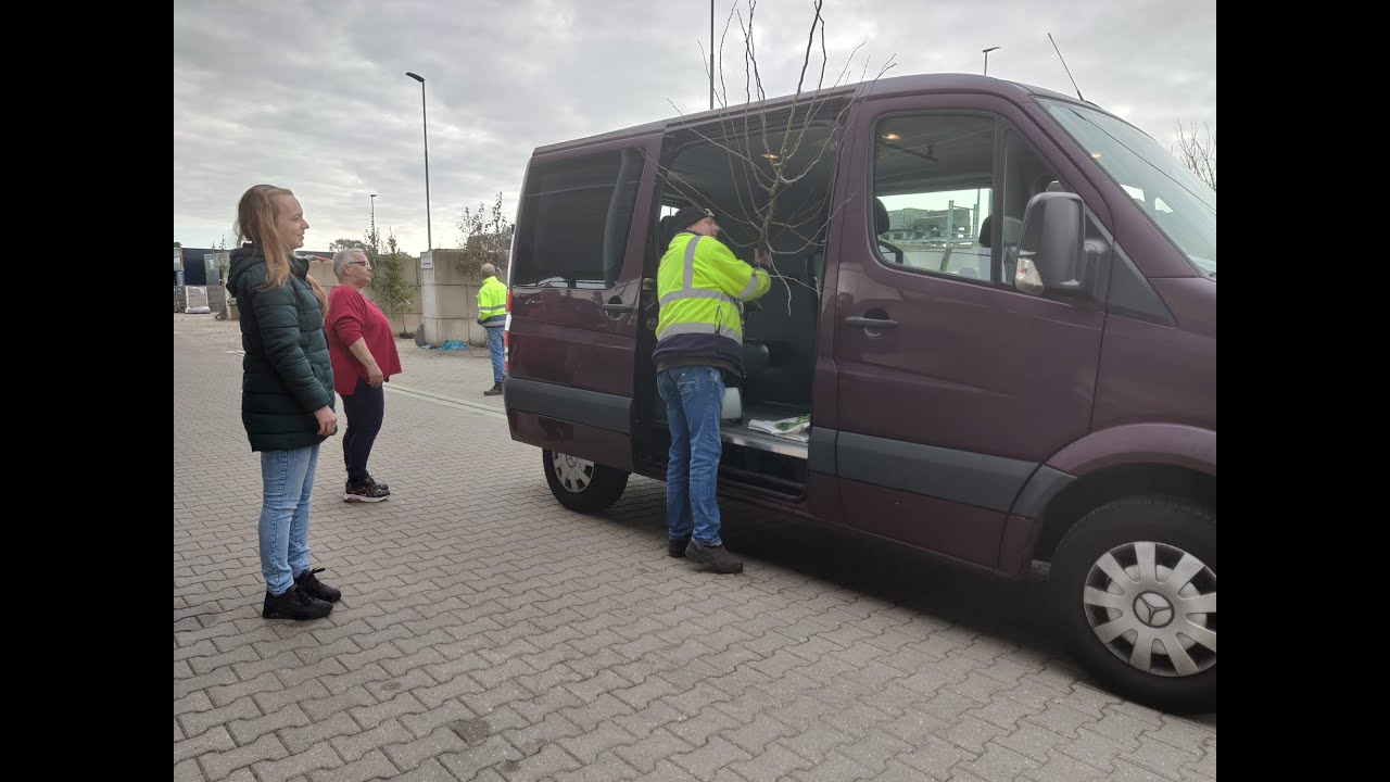 Bronckhorst deelt eerste zestig geboortebomen uit in Hengelo