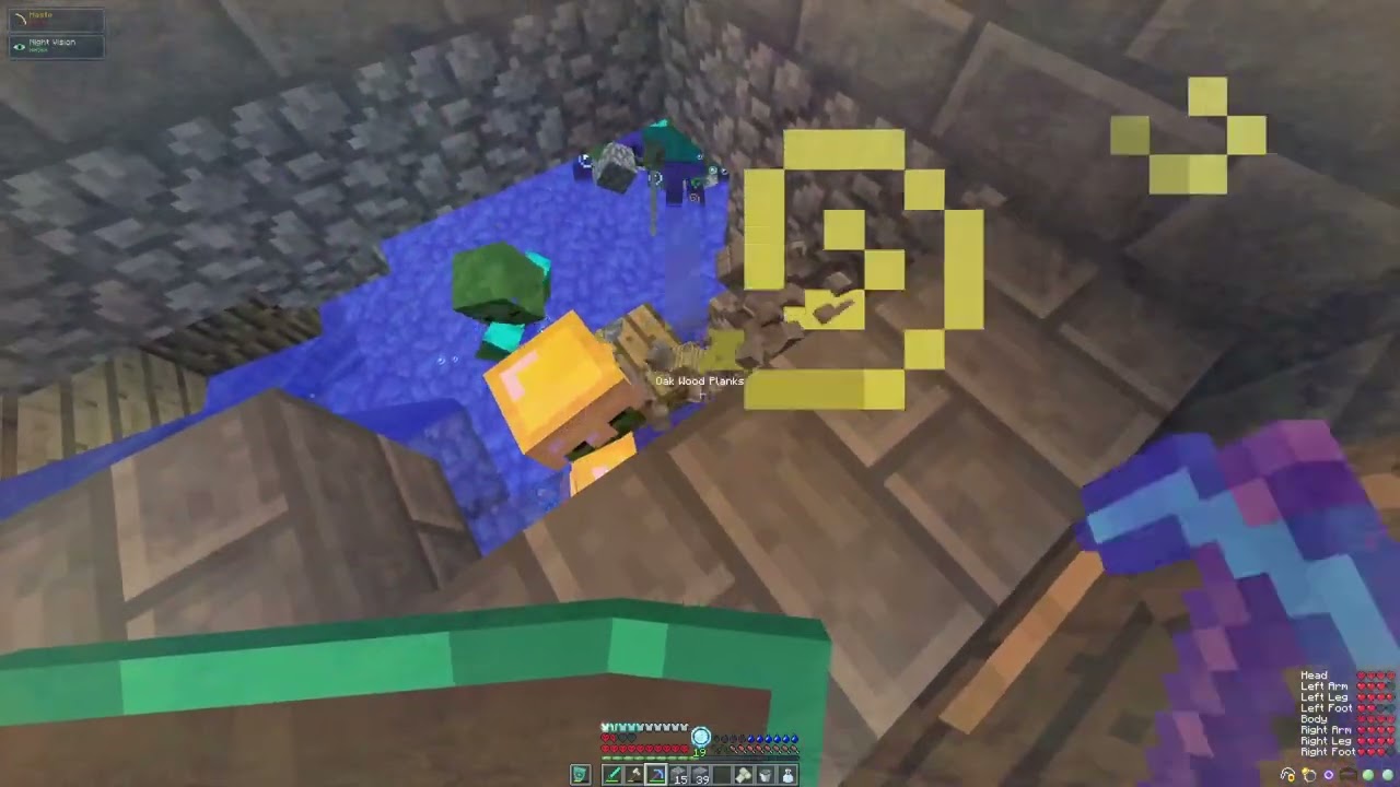 playn rlcraft 11: Storage!, New Pet, and Potions