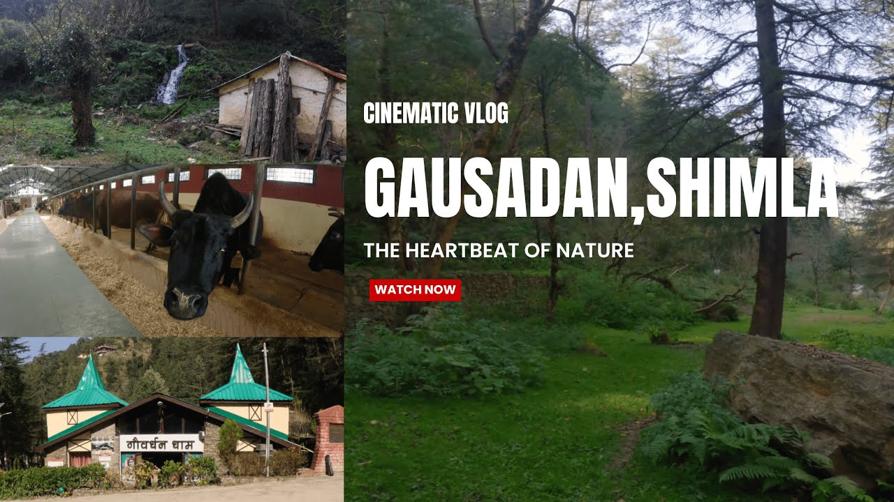 offbeat places near Shimla- Gaushala,Shimla