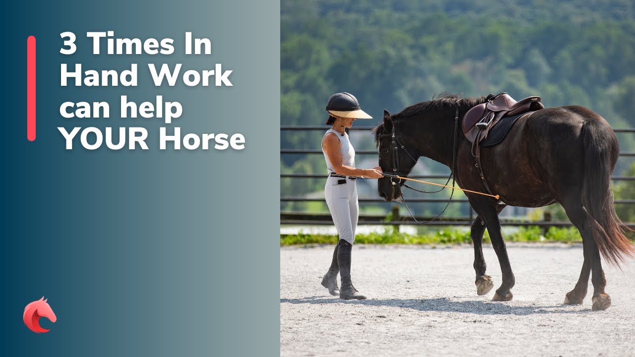 3 Times to Use In Hand Work for Your Horse’s Balance and Suppleness
