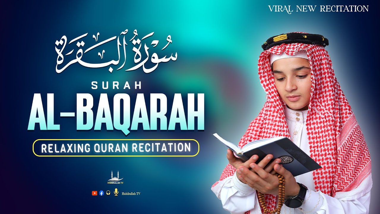Abdullah Ahmed Shaaban SURAH AL-BAQARAH سورة البقرة | Soothe Your Heart | Habibullah TV