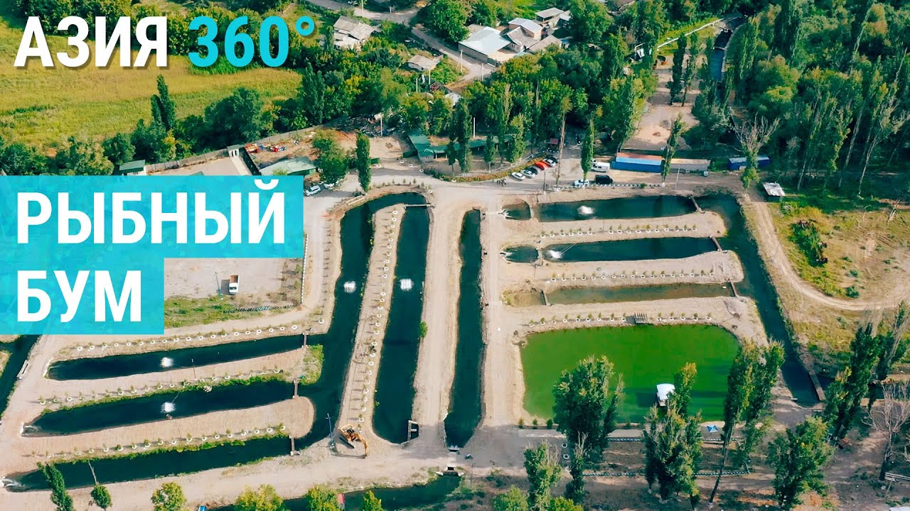 Рыбоводство без рек и озер | АЗИЯ 360°