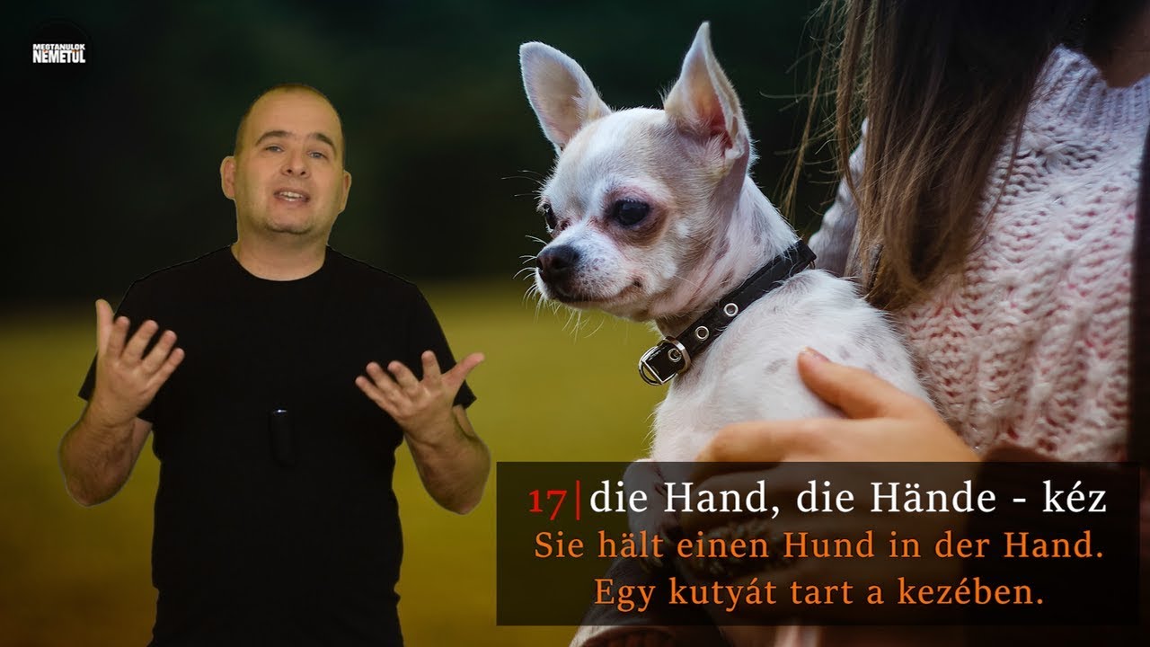 A 20 leggyakoribb német főnév