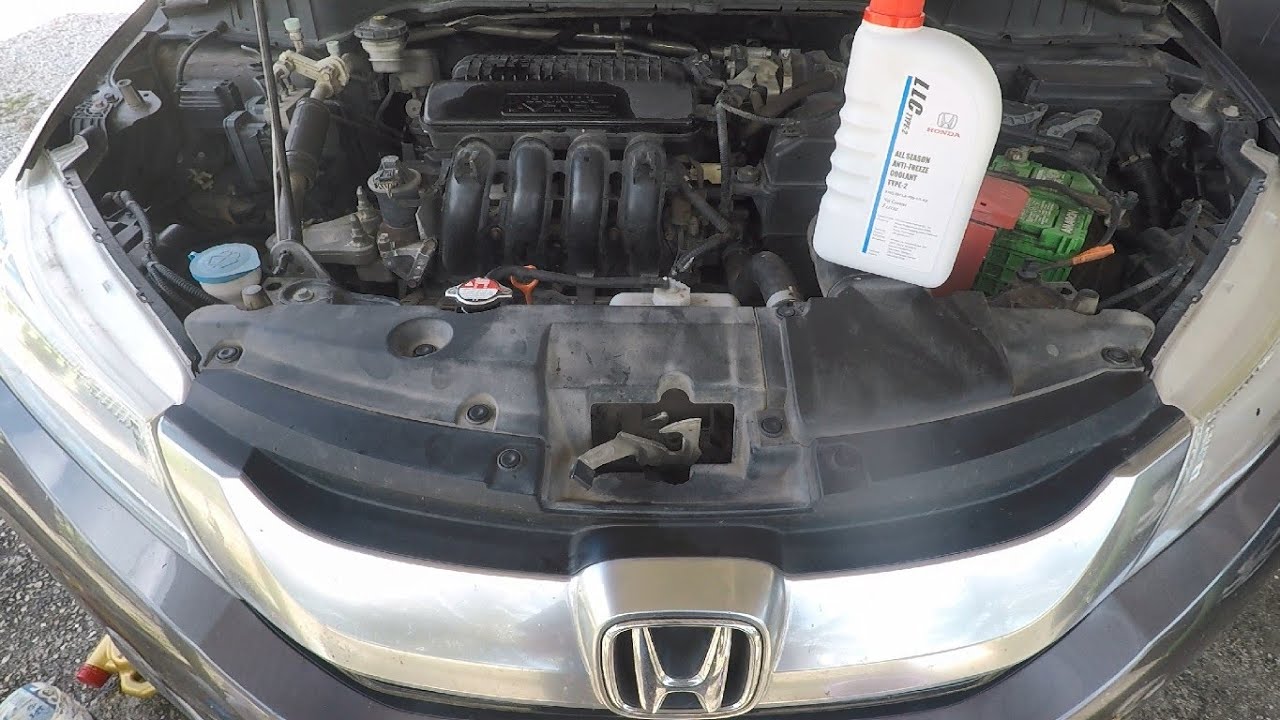 2014-2020 Honda City Coolant Drain and Fill Diy