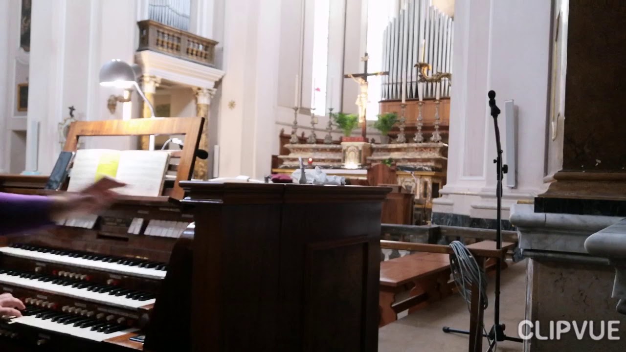 SALVE REGINA ( Tonus Solemnis ) : ORGAN IMPROVISATION  23-10-2020