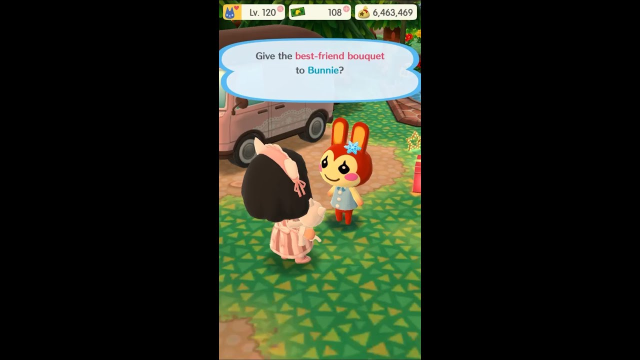 acpc best-friend bouquet bunnie valentine's day 2021