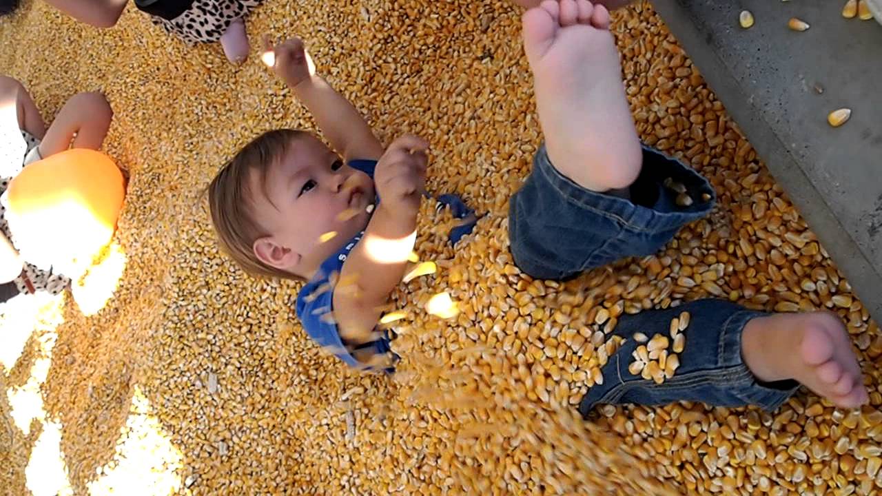 Zack getting buried in corn pit