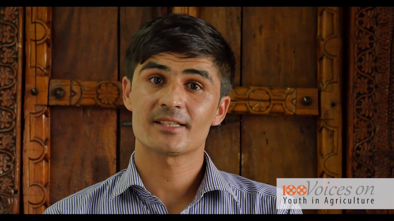100 Voices on Youth in Agriculture: Dr Tamim Fazily,, Baghlan University, Afghanistan