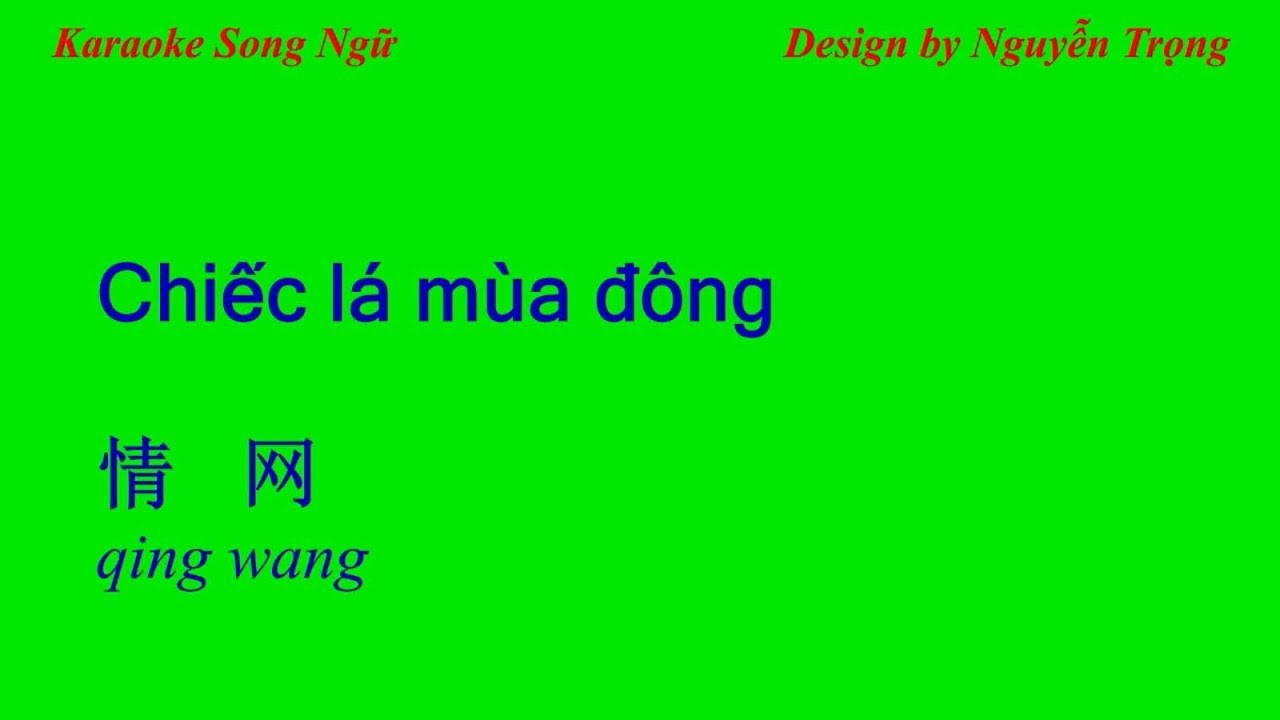 Karaoke - Chiếc lá mùa đông - 情网 (A Min)