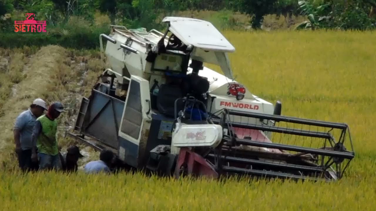 Apa yang terjadi⁉️ #fyp #viral #shorts #tiktok #maxxibimo #combineharvester