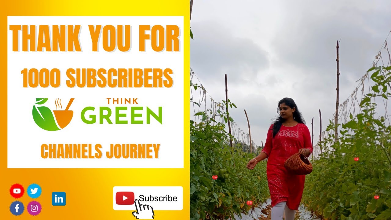История канала Think Green | Как мы получили 1000 подписчиков | Трейлер канала | Благодарственное письмо