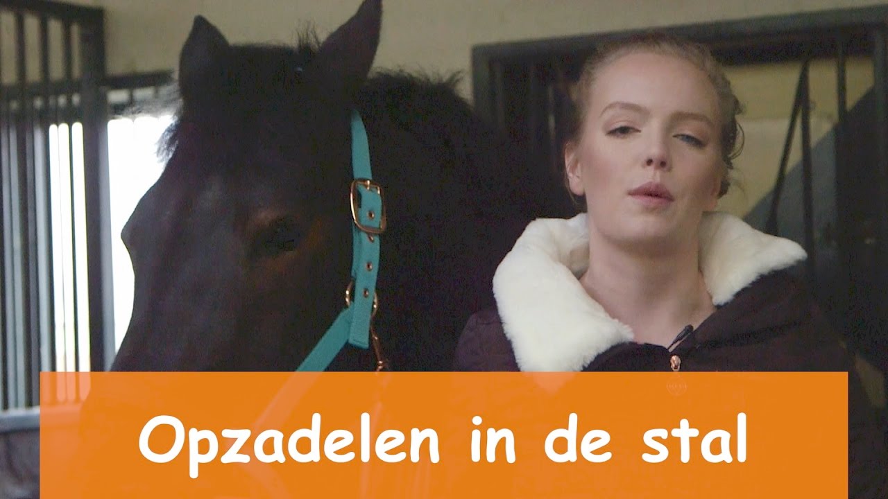 Opzadelen in de stal & toffe Winactie | PaardenpraatTV