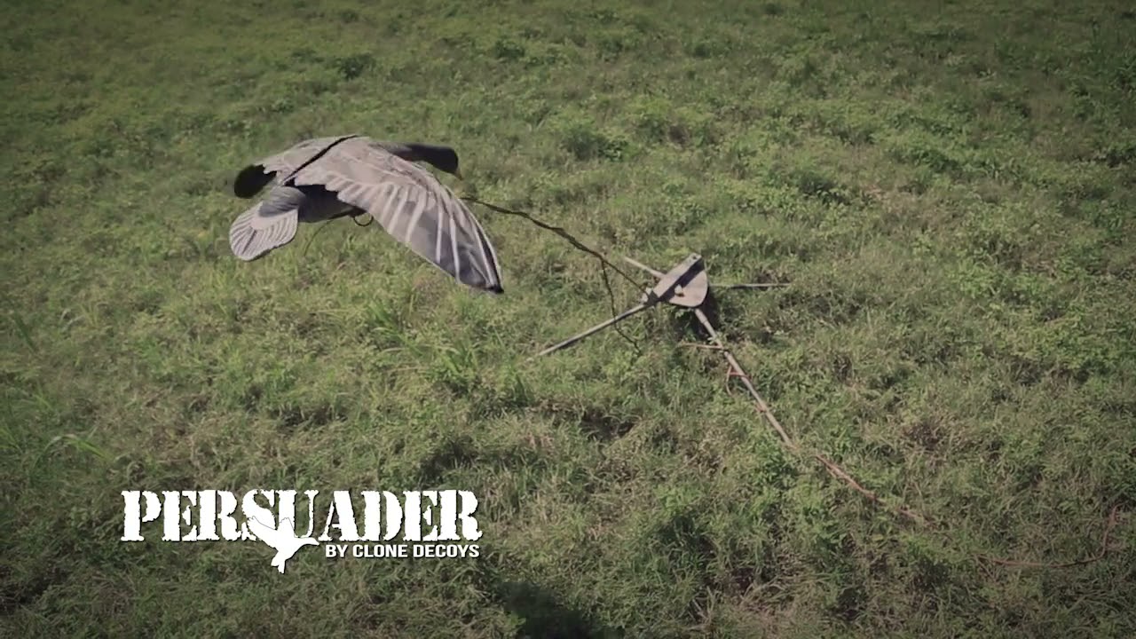 The Persuader by Clone Decoys