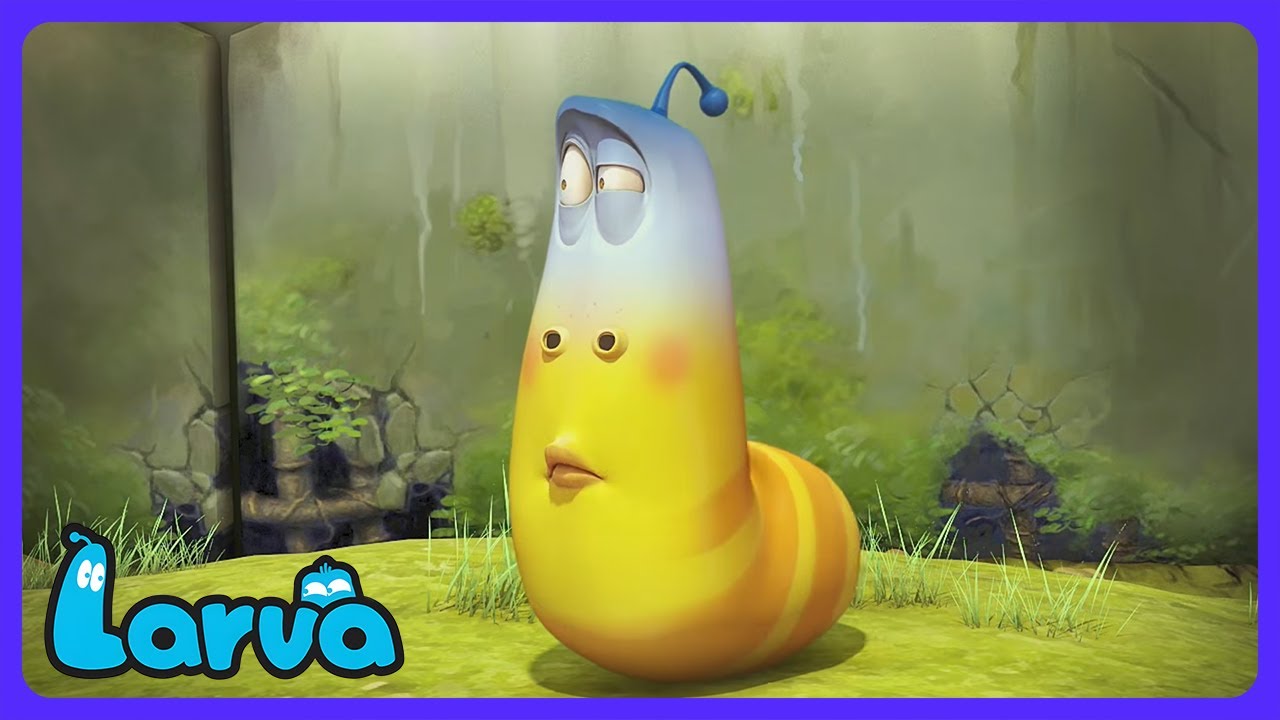 Larva - Vastzittend in Cement! | Kindertelevisie | WildBrain Boerderij