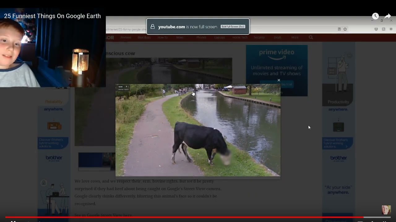 You gotta respect cow's rights