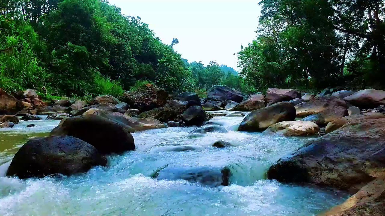 Tranquil River Sounds for Meditation and Focus – 12H Flow