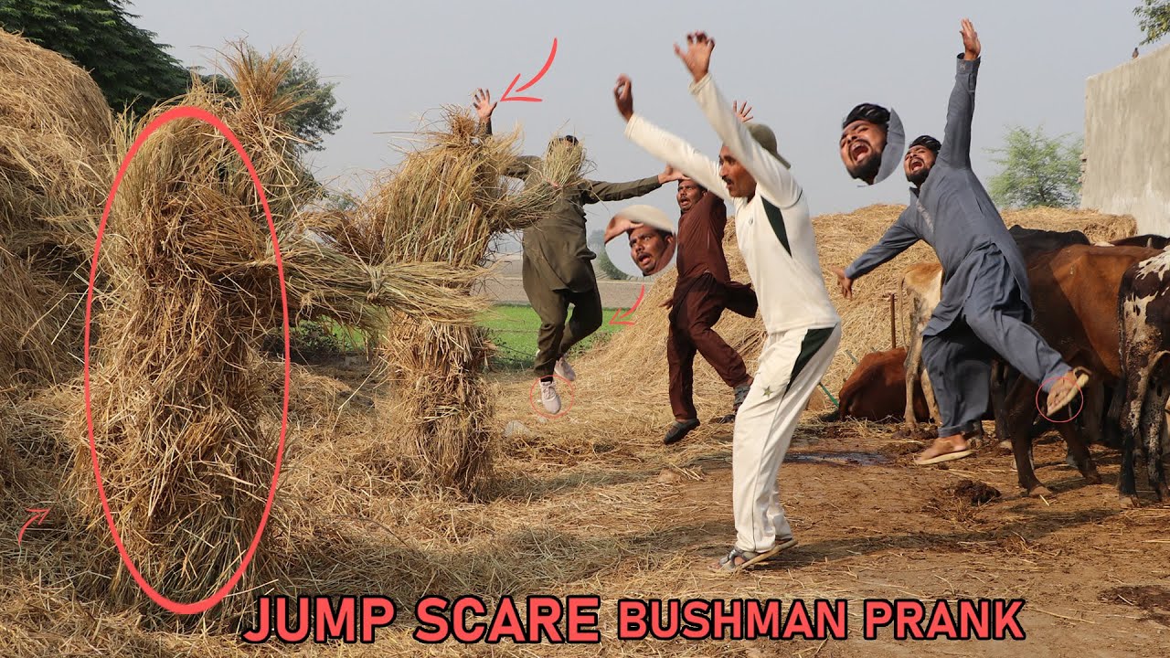 Unbelievable REACTION TO Humor BUSHMAN Prank Video😁