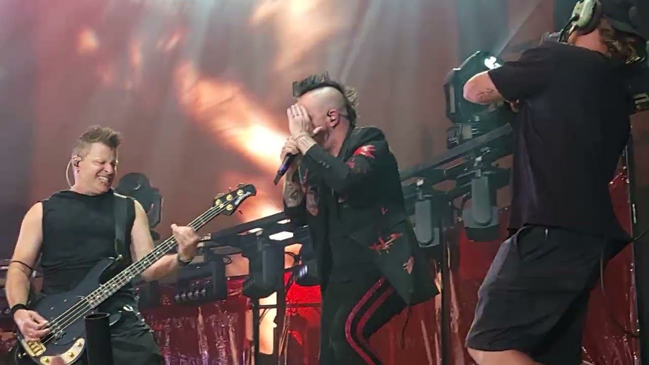 Three days grace - Animal I have become live